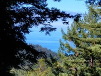 Oregon coast
