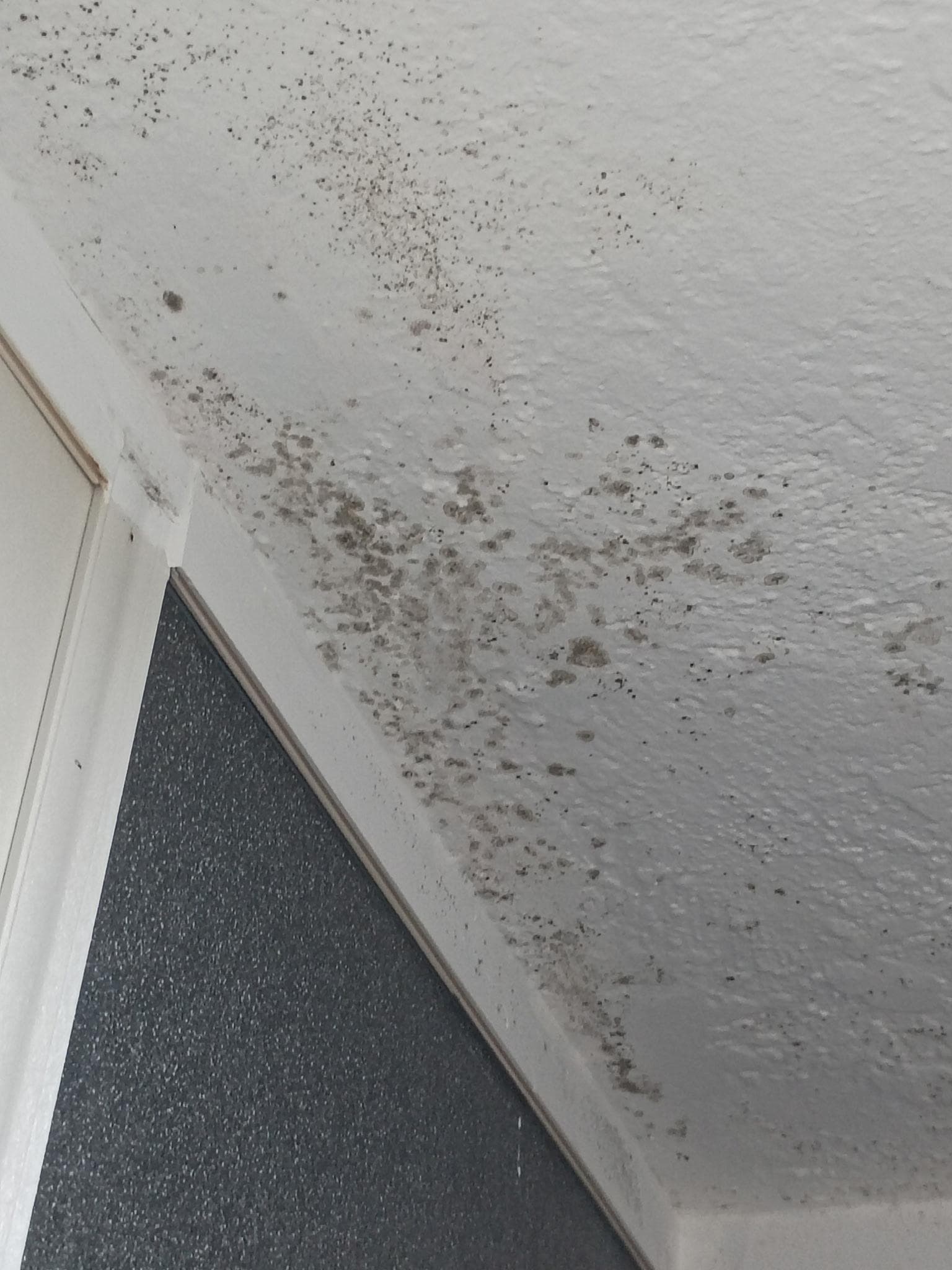 Mold over door