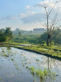 View from the rice field walk