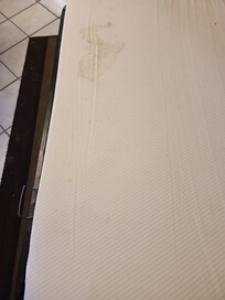 The mattress of the pull out couch.