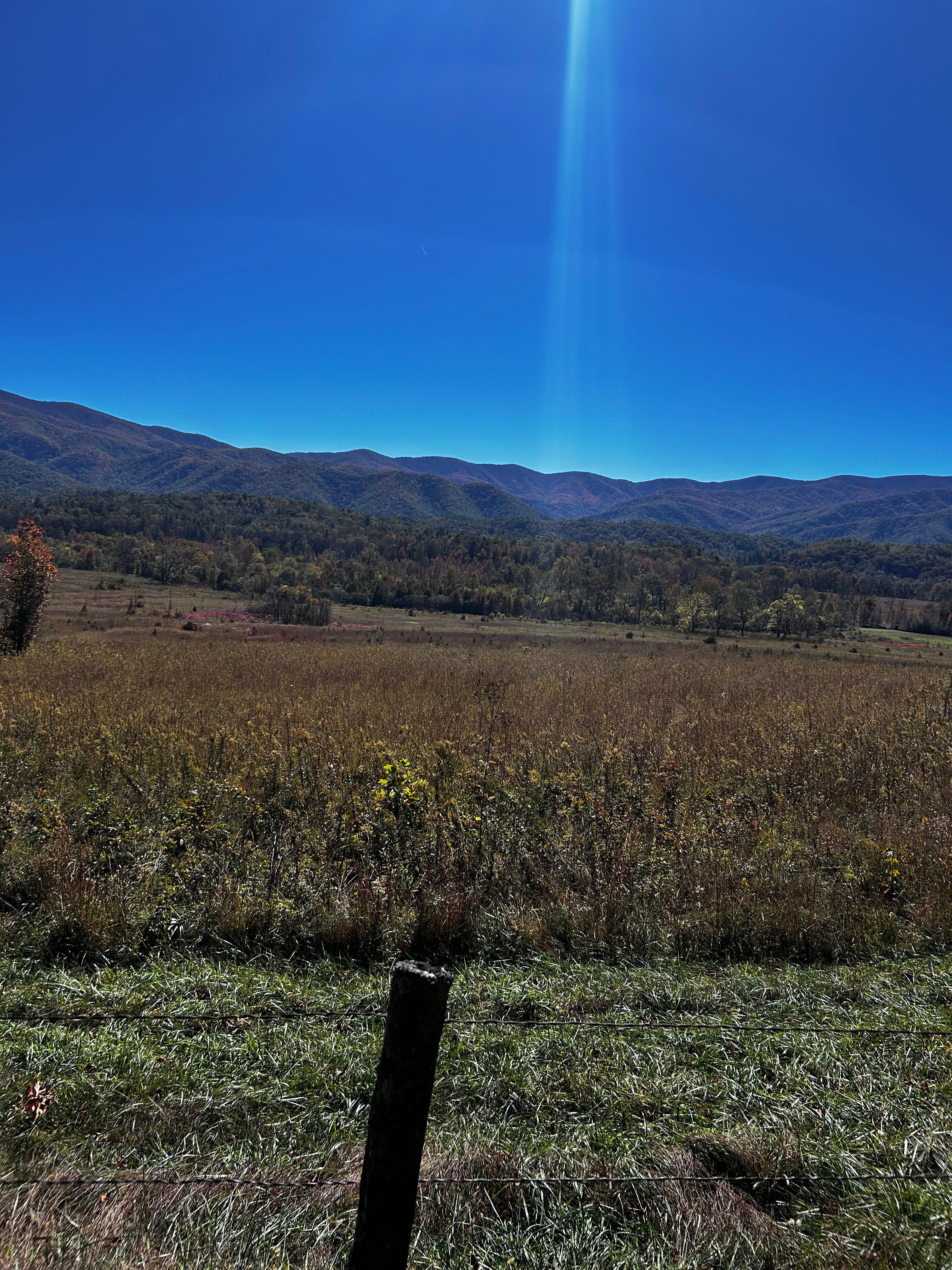 Cades cove
