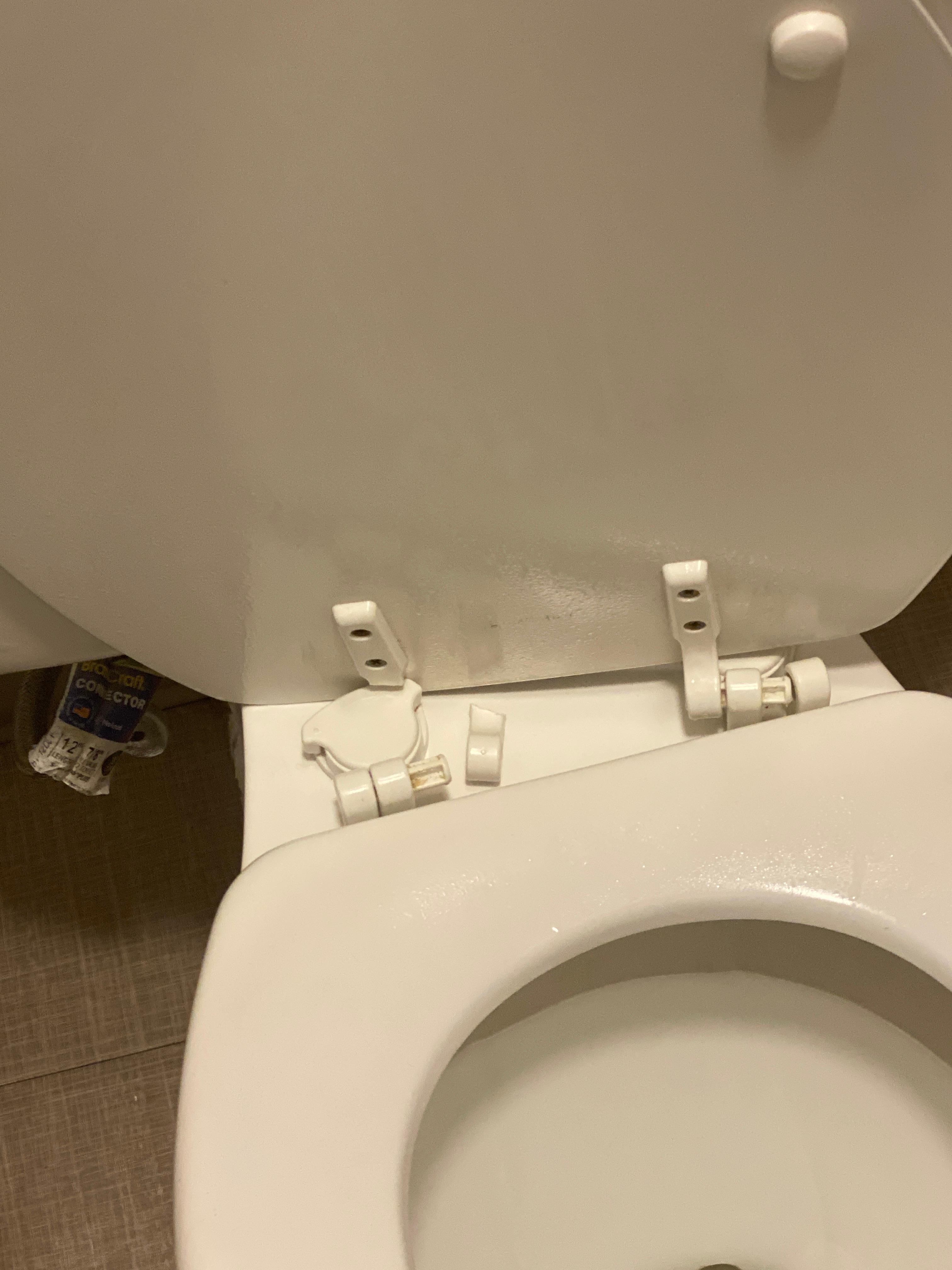 Broken toilet seat