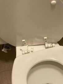 Broken toilet seat