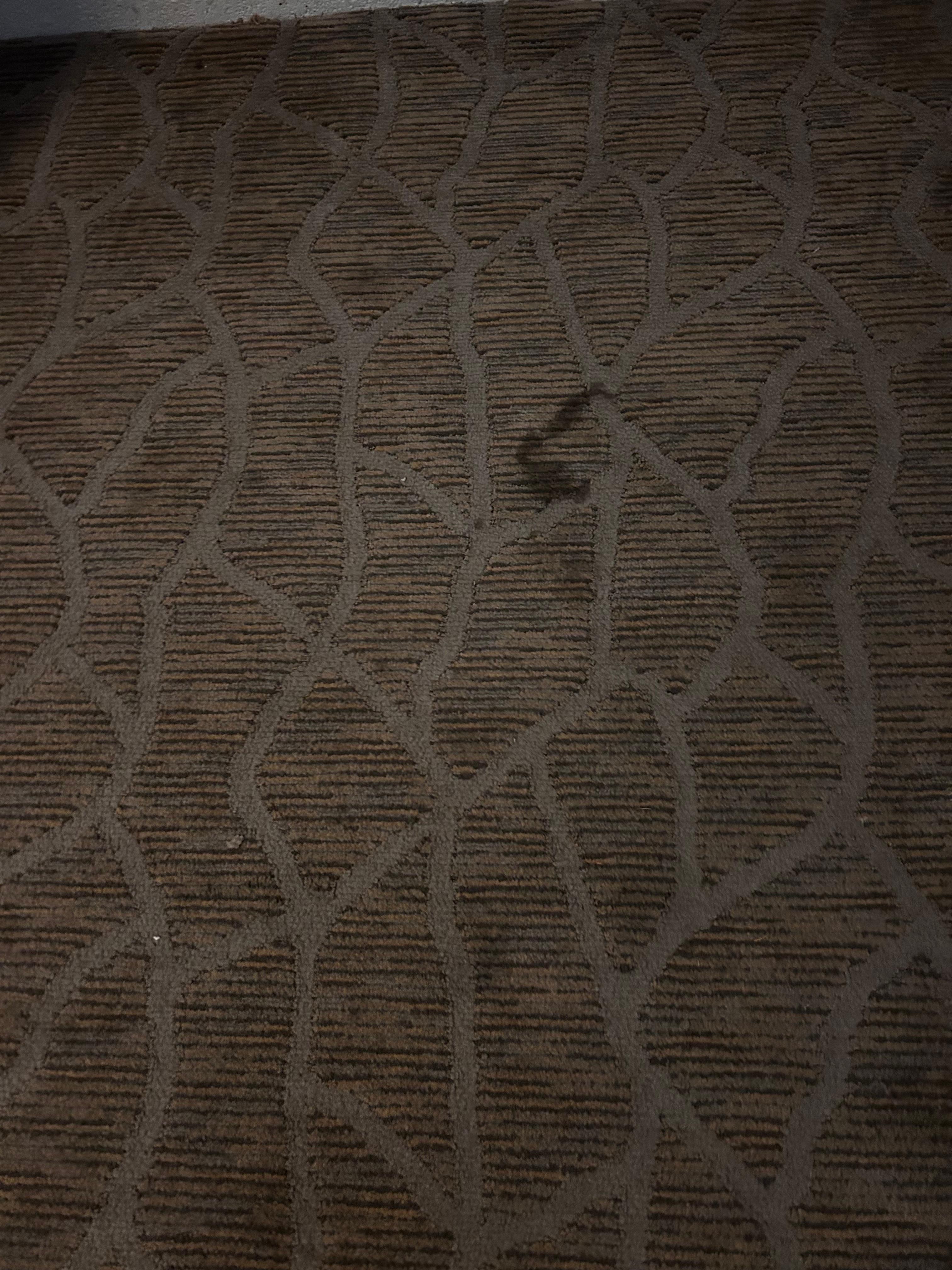 3rd carpet stain. Disgusting.