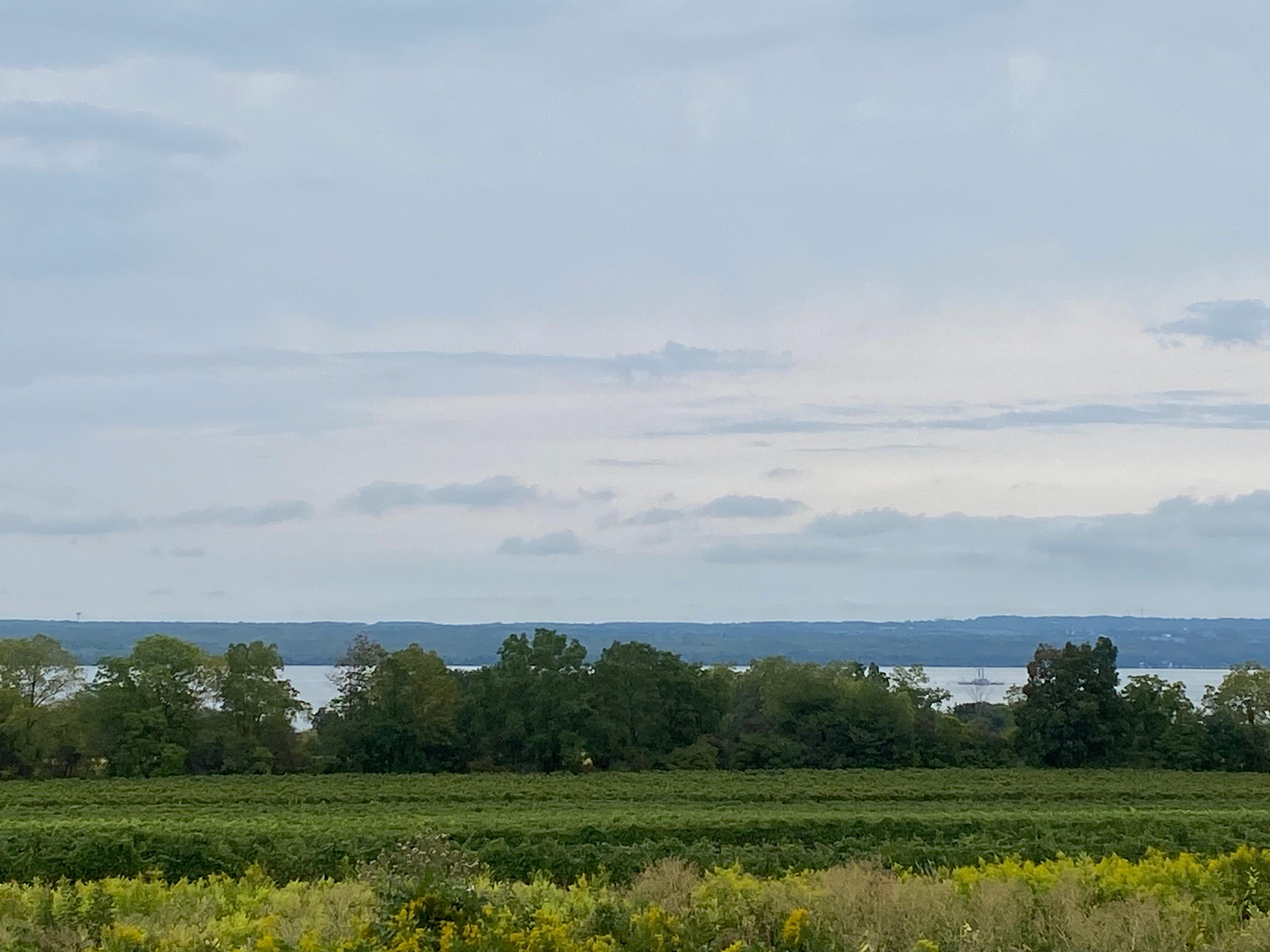 Another winery overlooking Seneca Lake
