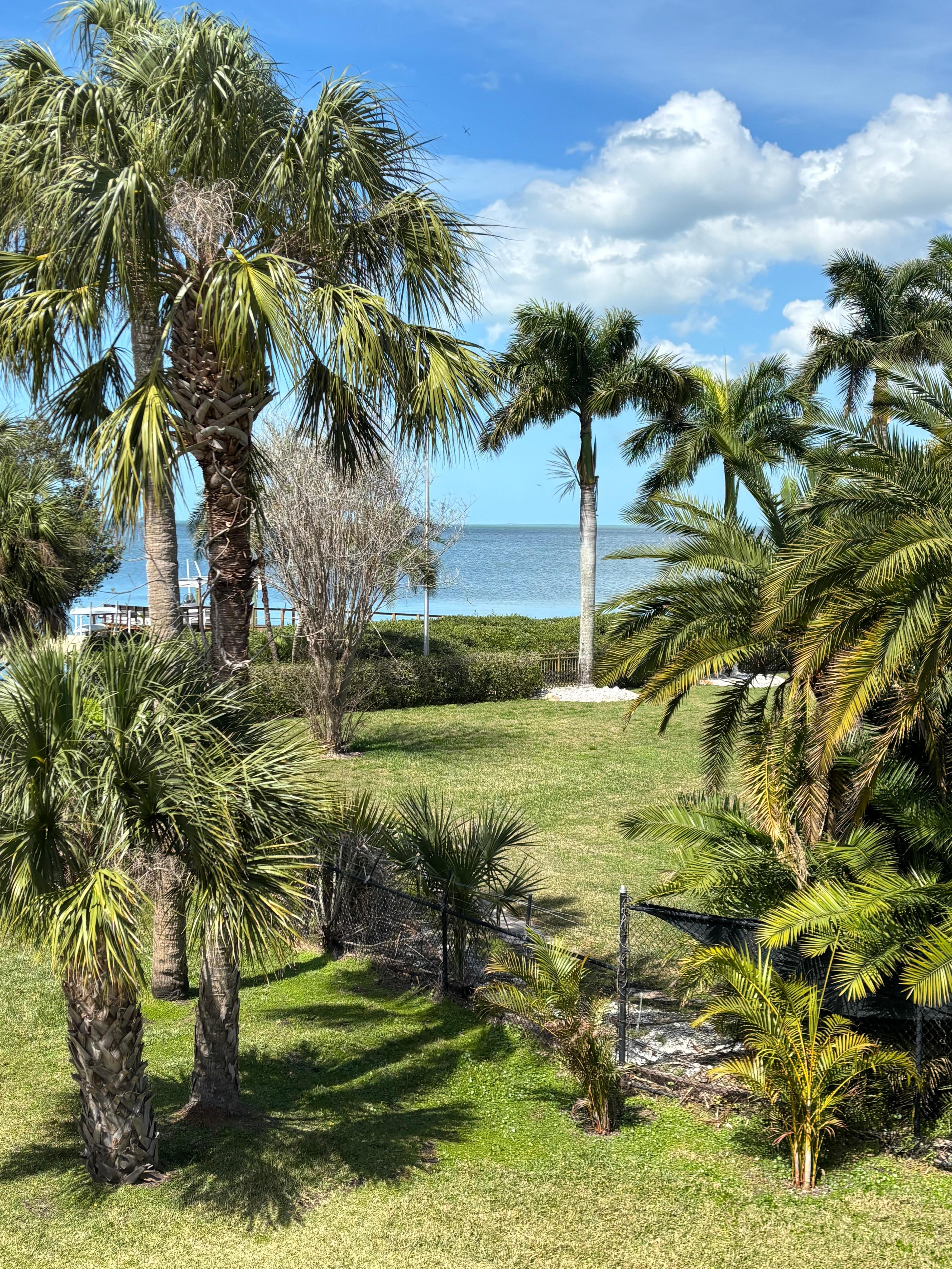 View from the family room.