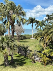 View from the family room.
