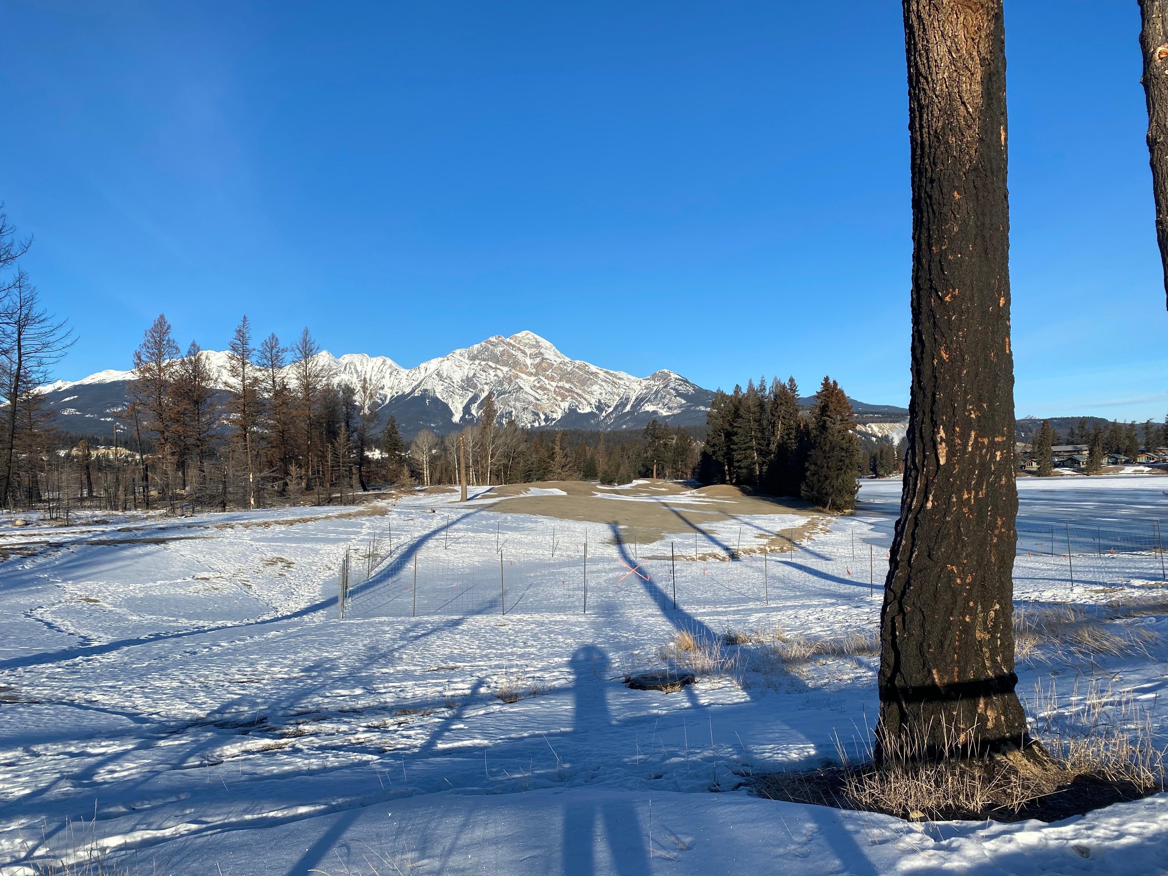 Pyramid Mountain, from my view walking around Lac Beauvert