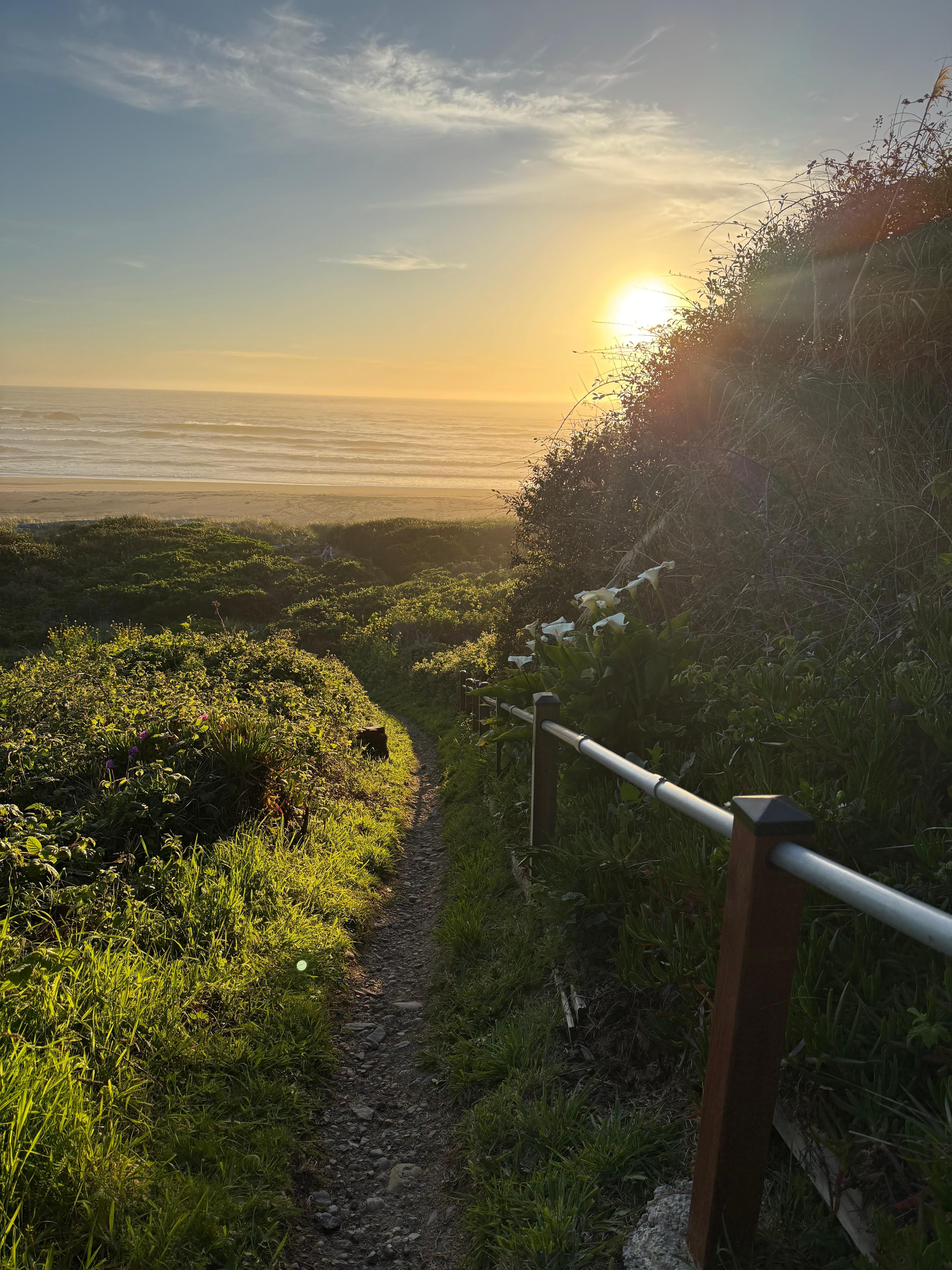 The path down to the beach