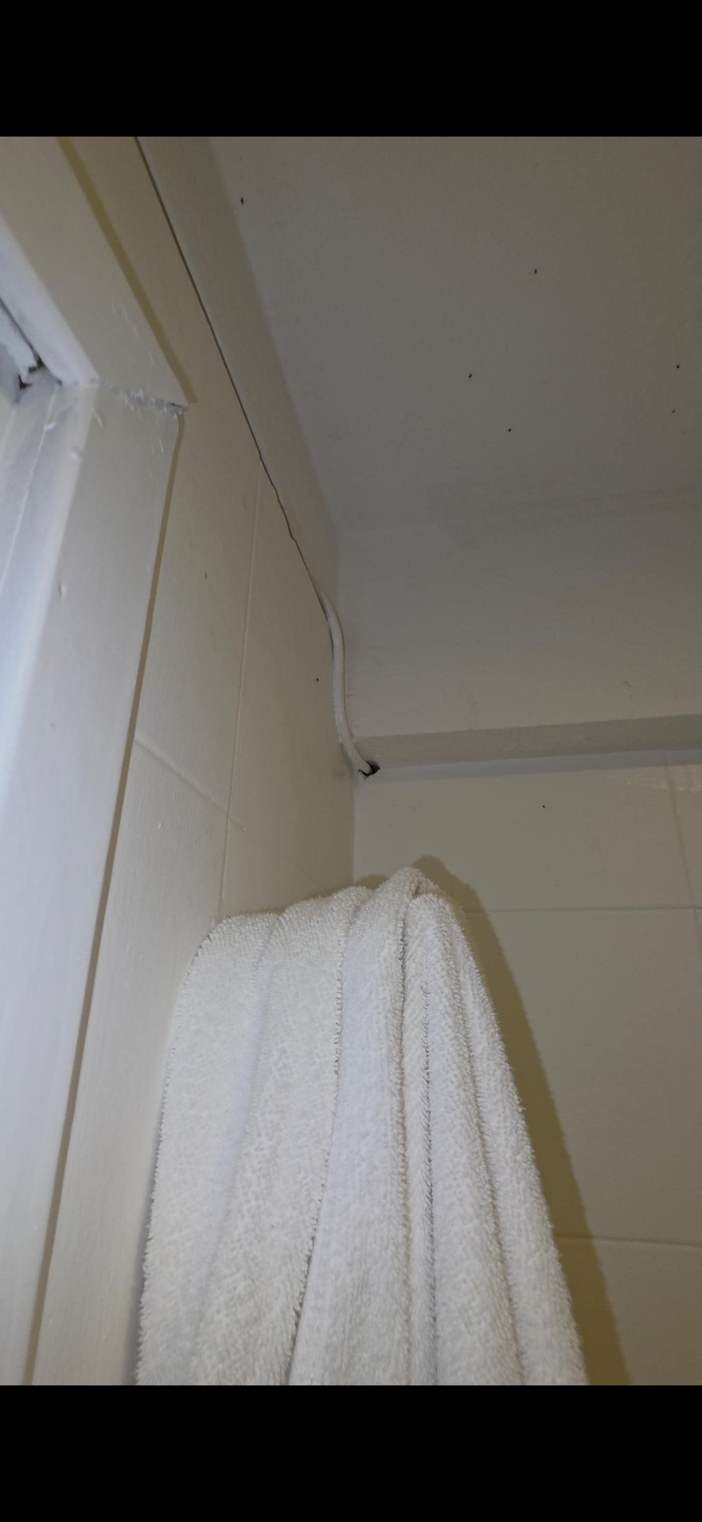 Bugs in bathroom. The video I have is better, but I can only upload pictures here 