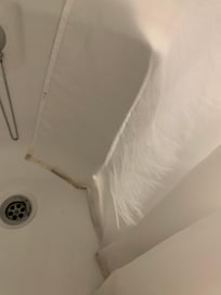 Mouldy shower curtain