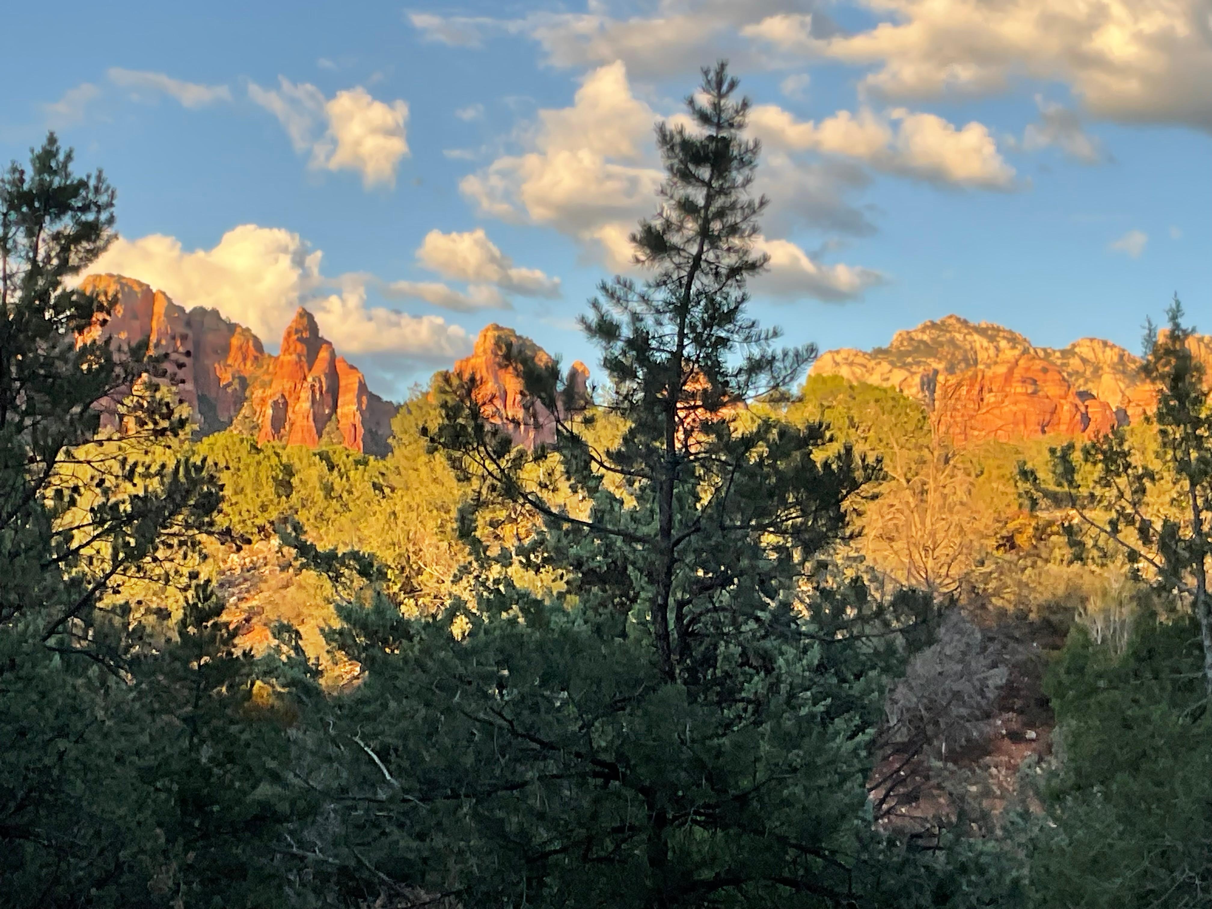 This is the view from the house!