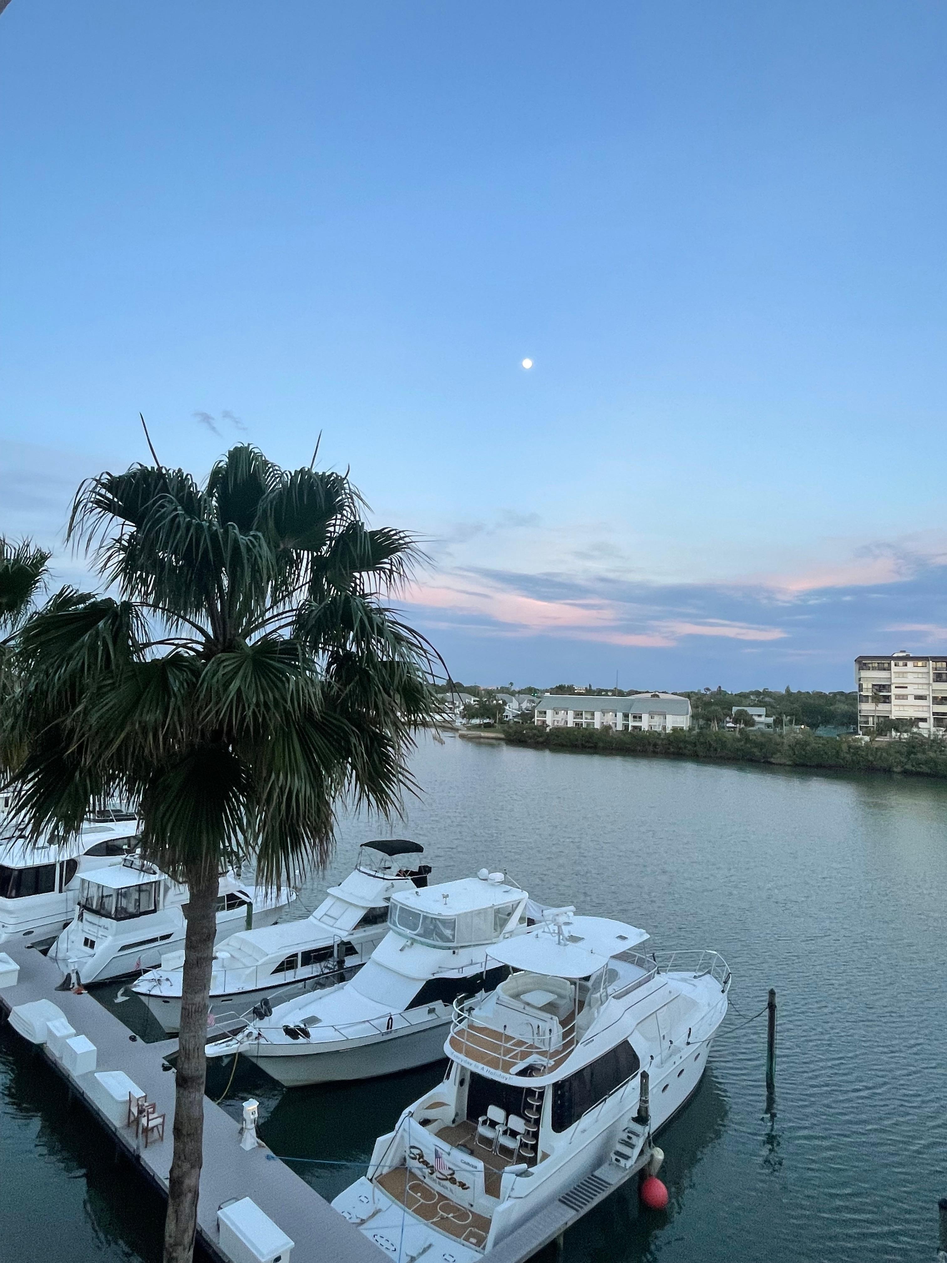 View from room balcony 