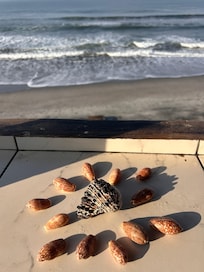 The ocean and its treasures