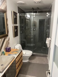 Guest bathroom