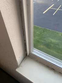 Mold on window