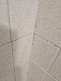 Mold in the bathroom