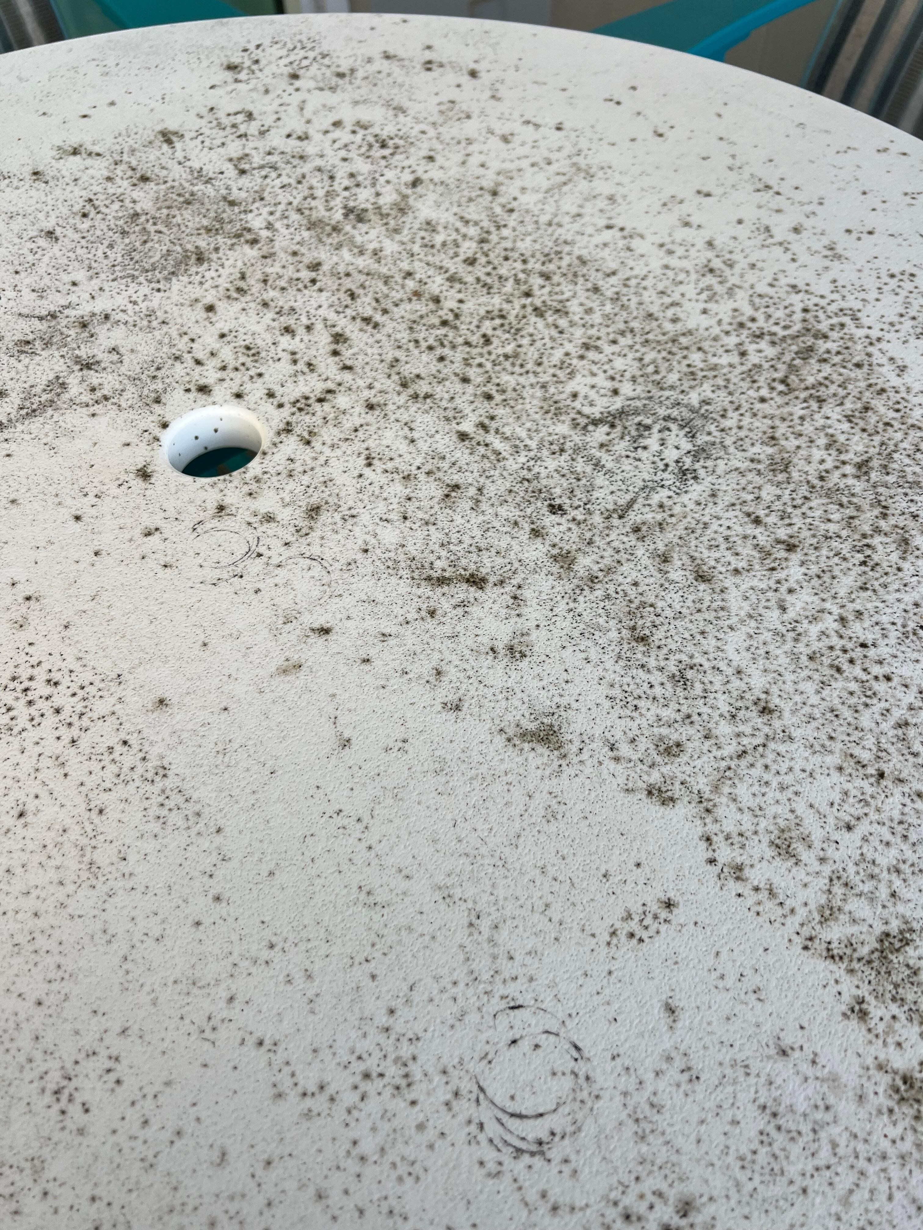 Mold and mildew on tables 