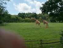 Visiting Cape May zoo