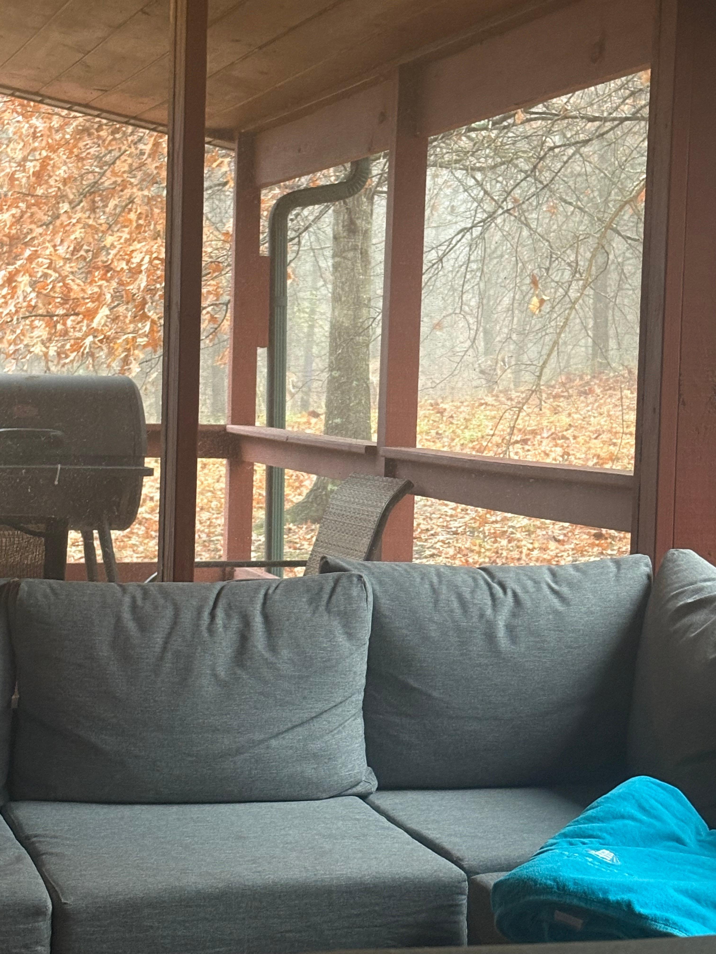 Morning dip in the hot tub with deer grazing within view. 