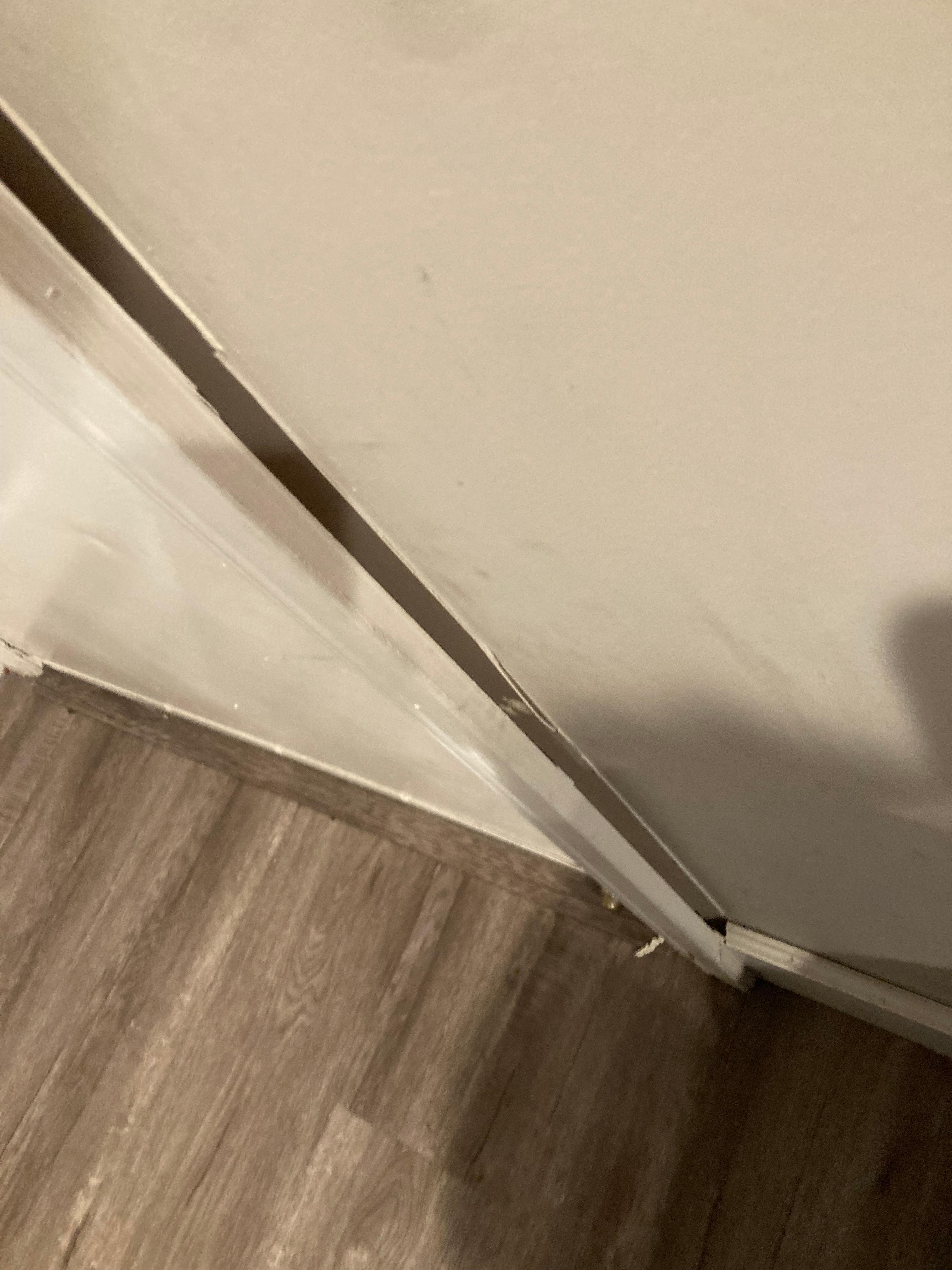 Damaged door trim