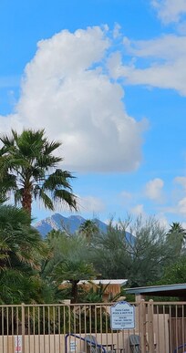 View from patio when eating dinner