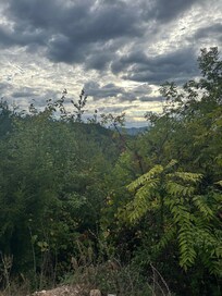Top of the ridge where cabin is