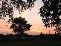 Sunset
