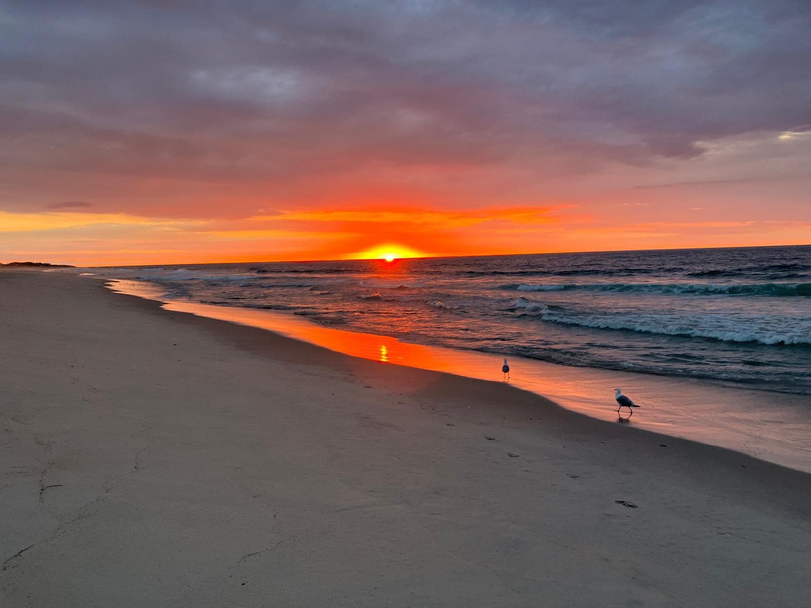Quick trip across the street for a beautiful ocean sunrise 