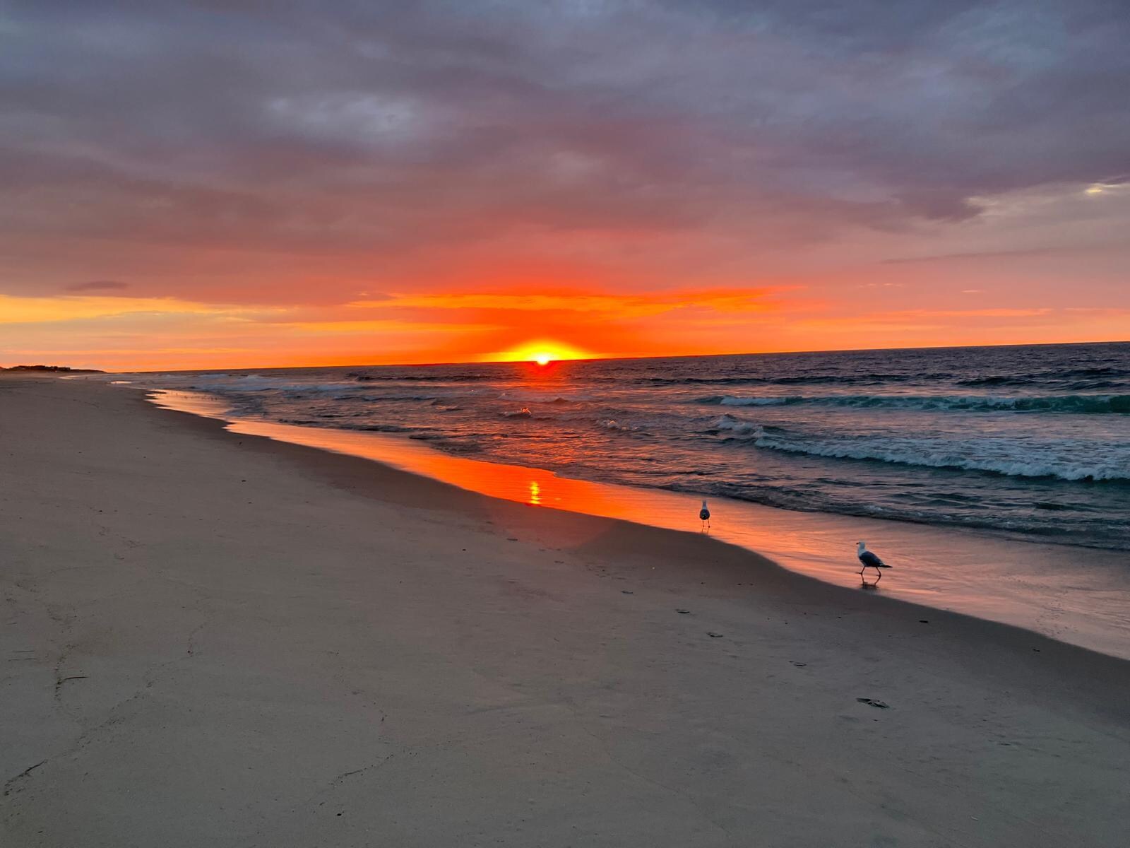 Quick trip across the street for a beautiful ocean sunrise 