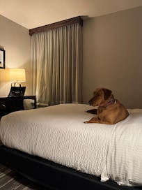 Gelato was also comfy for the evening of rest here😍