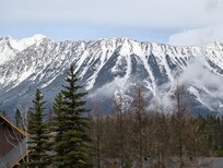 Right outside our window