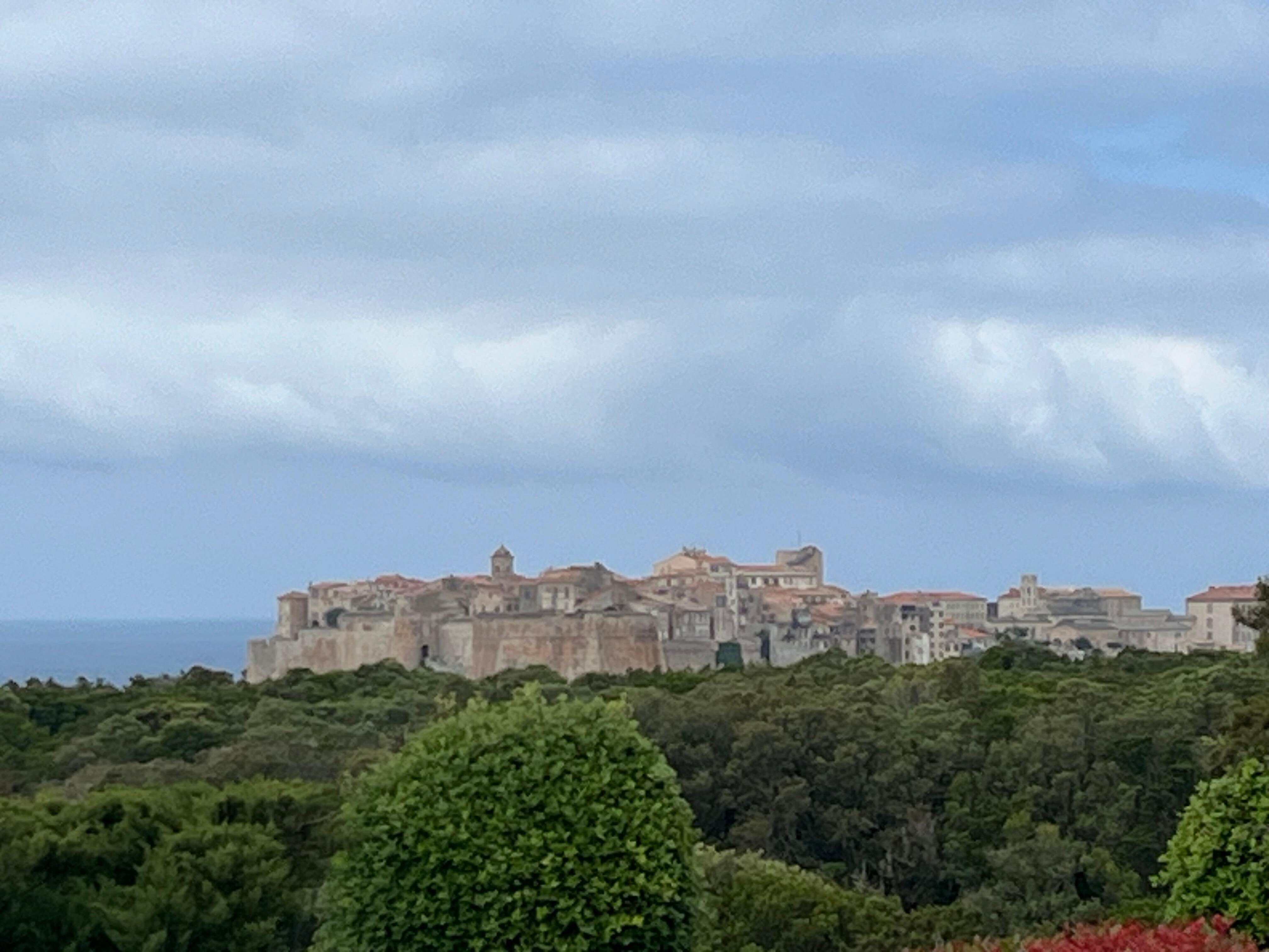 view from restaurant/room