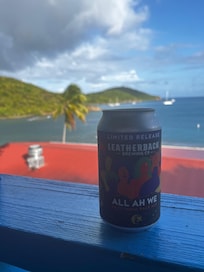 The view of Hassel Island from our balcony. (Room 4)