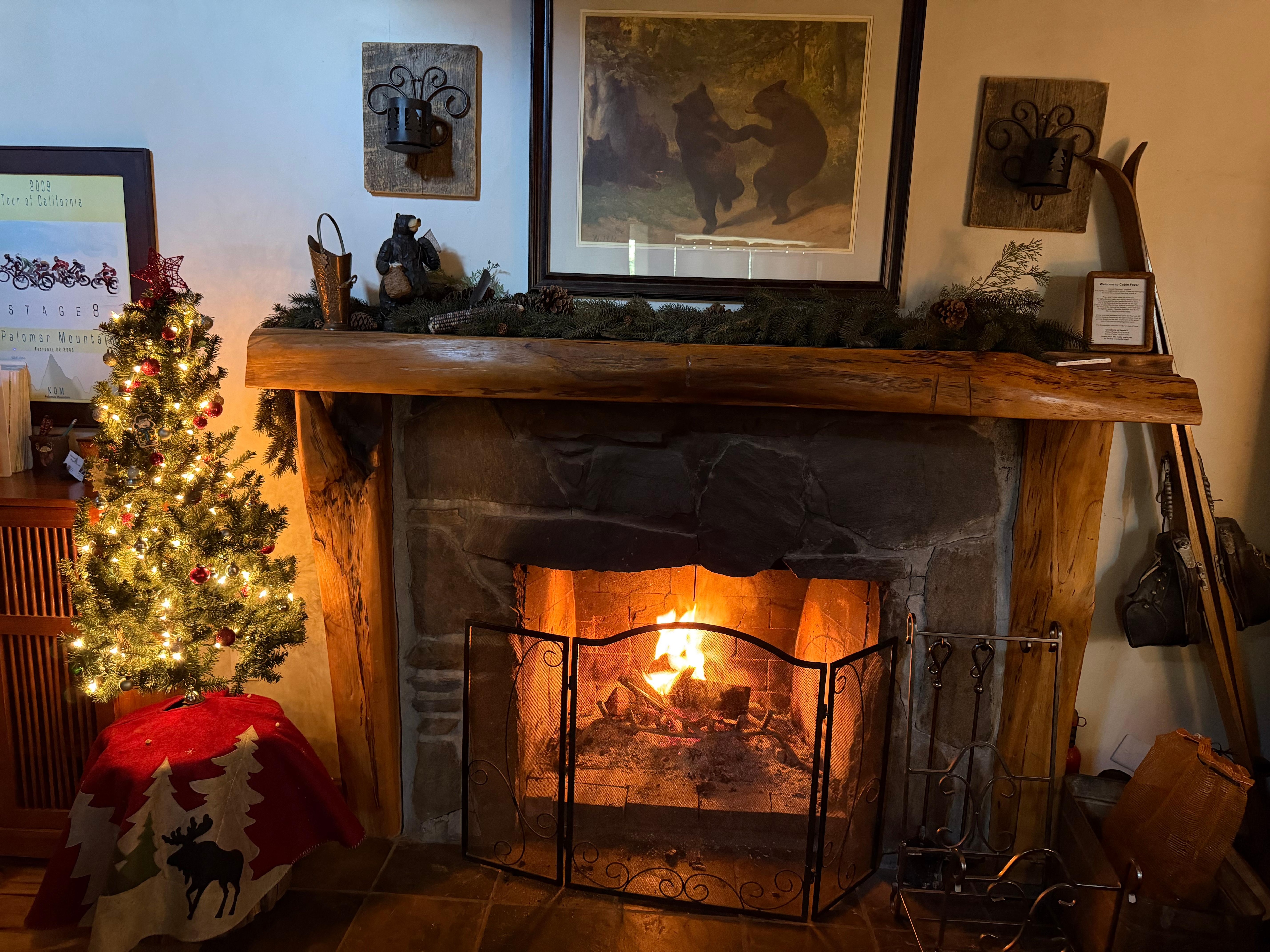 There was a little Christmas tree with the lights on when I arrived. So welcoming.