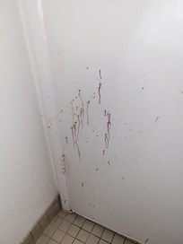 Blood splatter on door