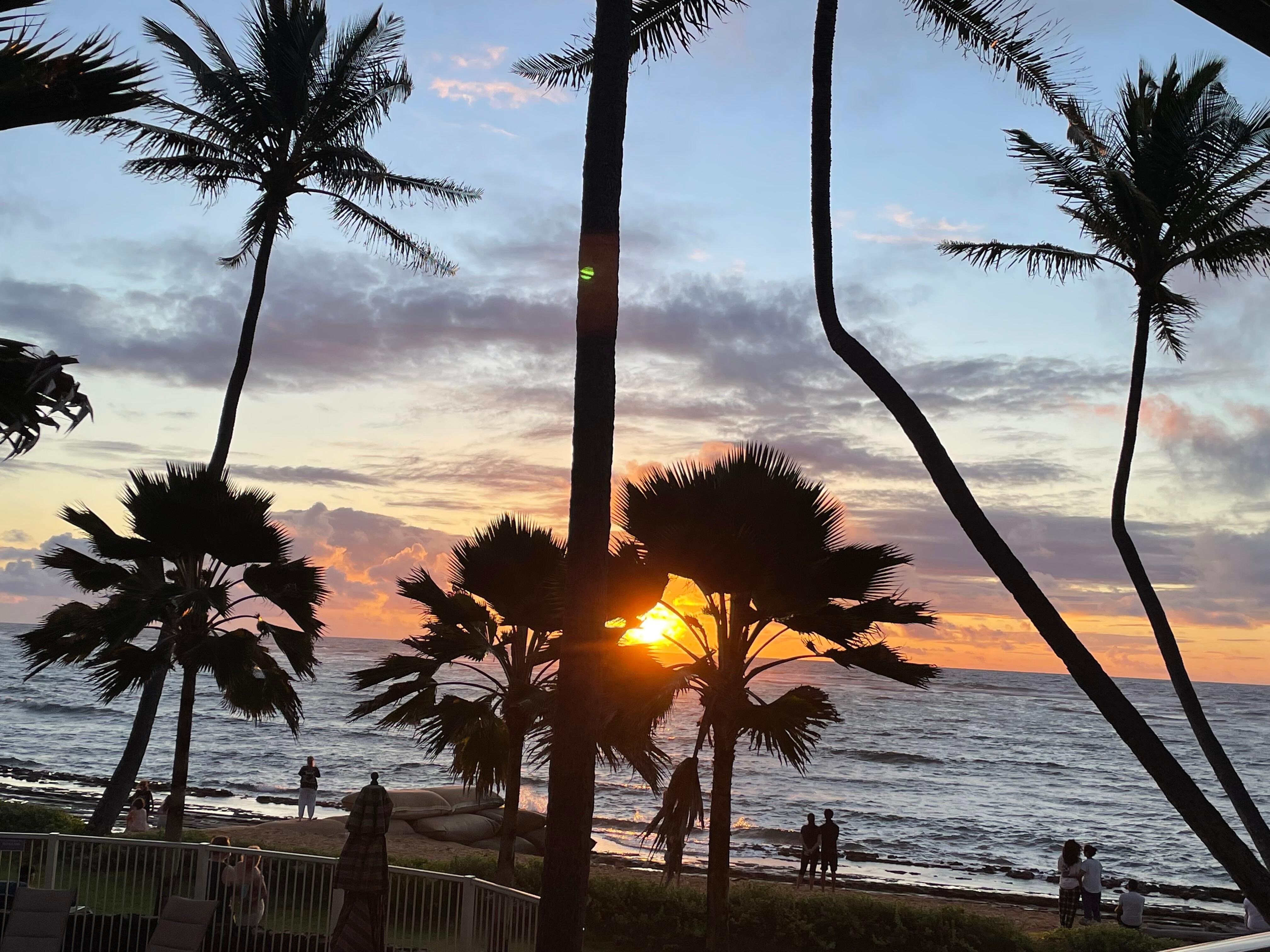 Sunrise 