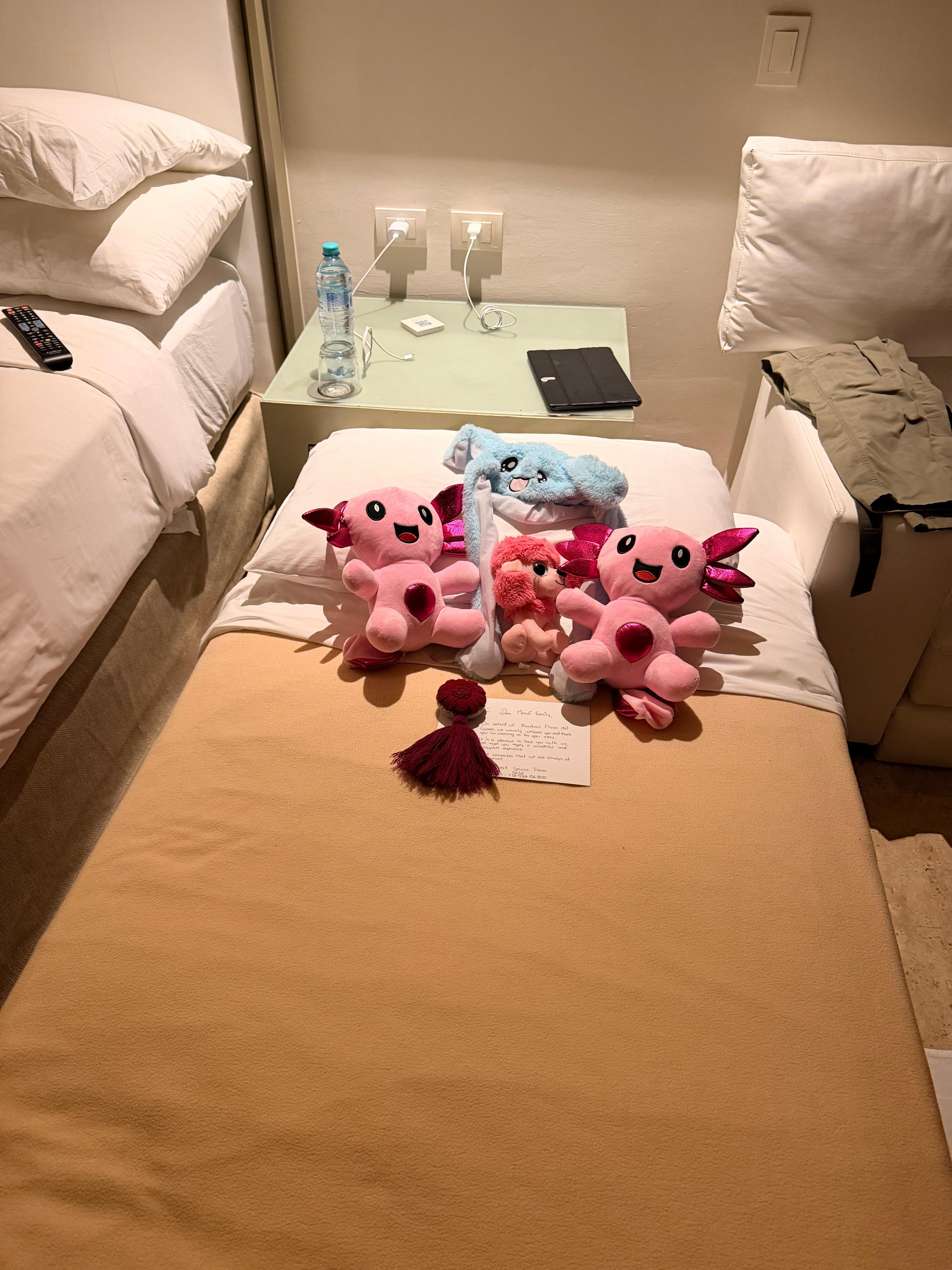 After dinner suprises