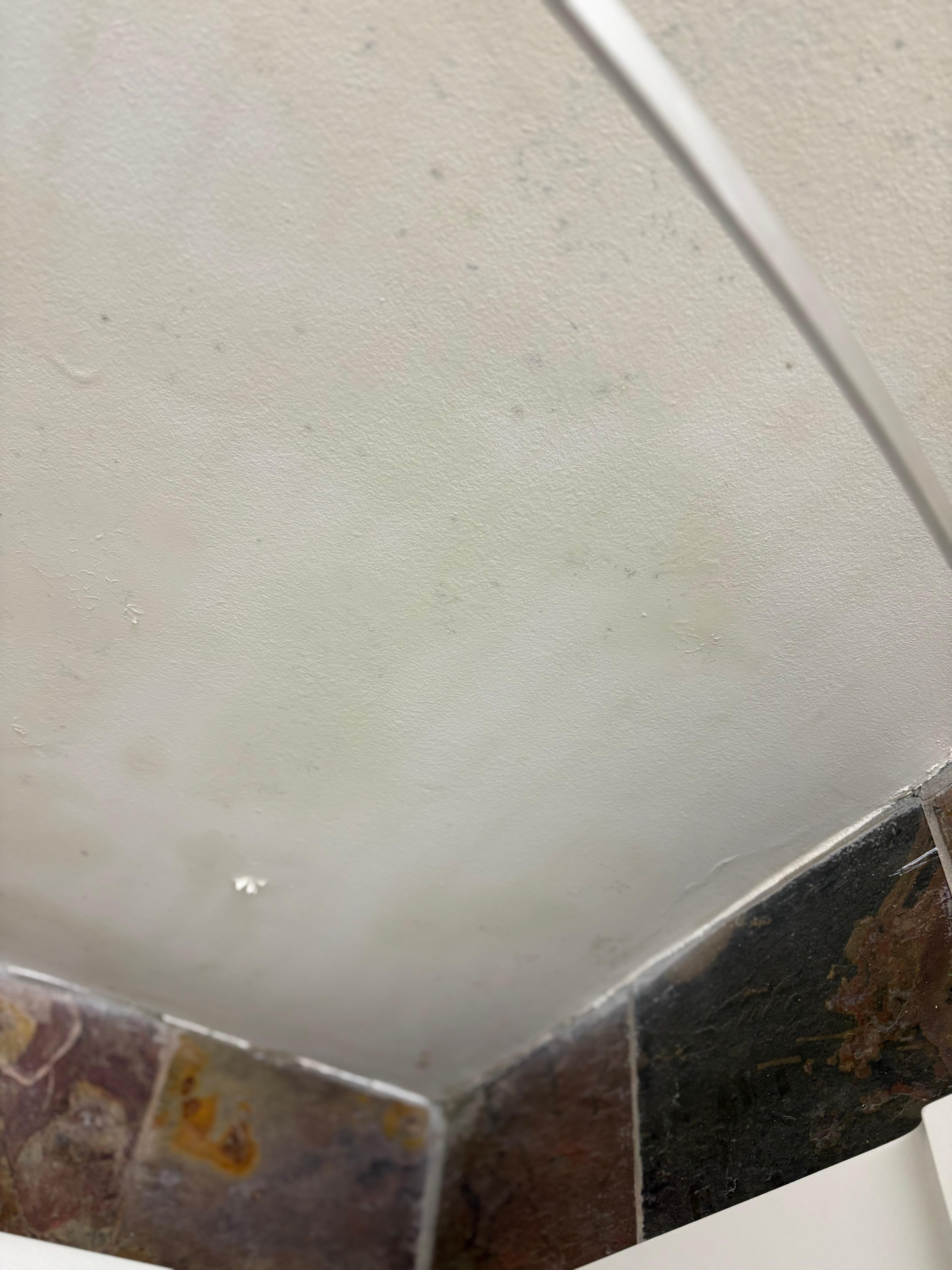 Mould on ceiling 