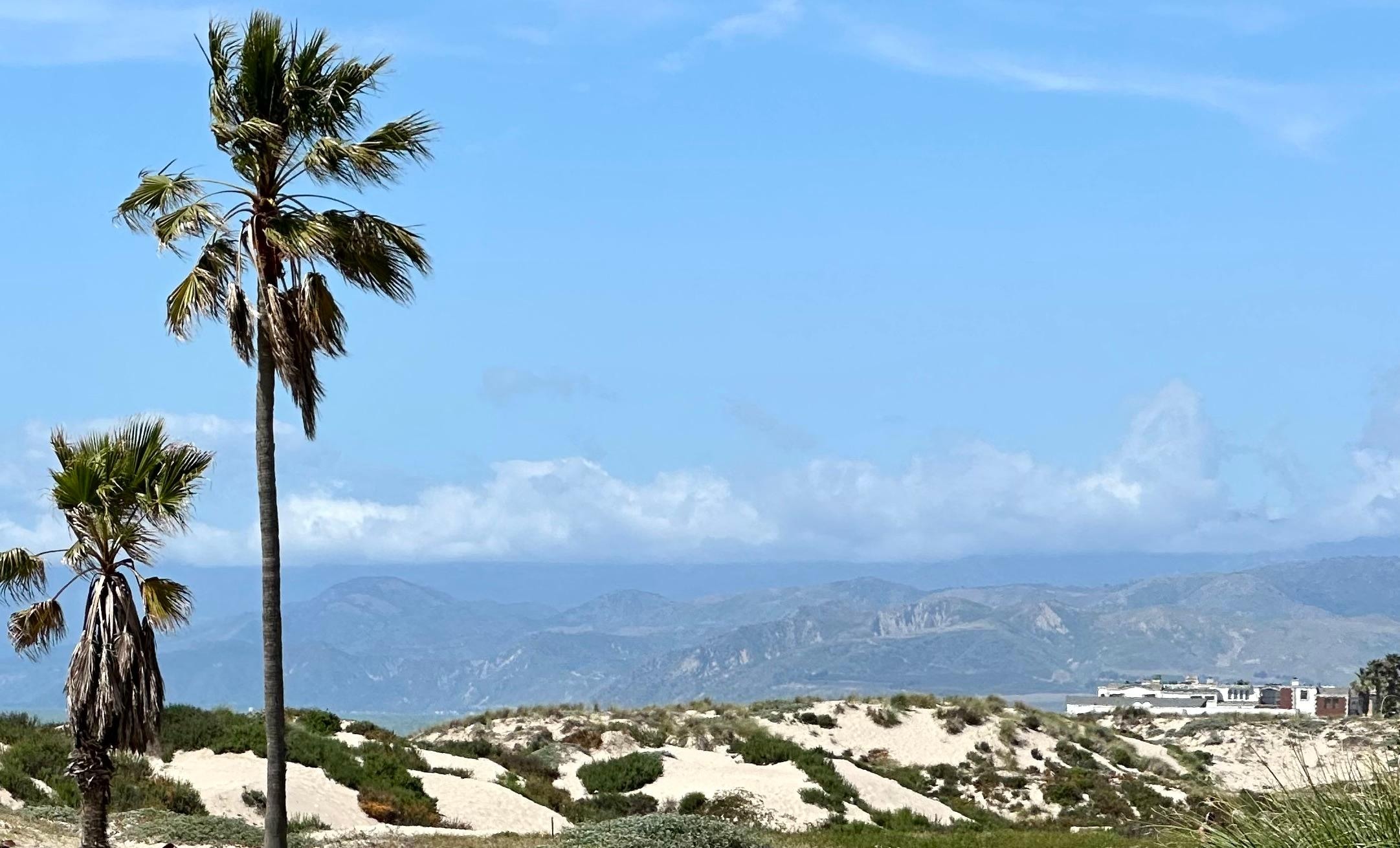 View down by the beach. 