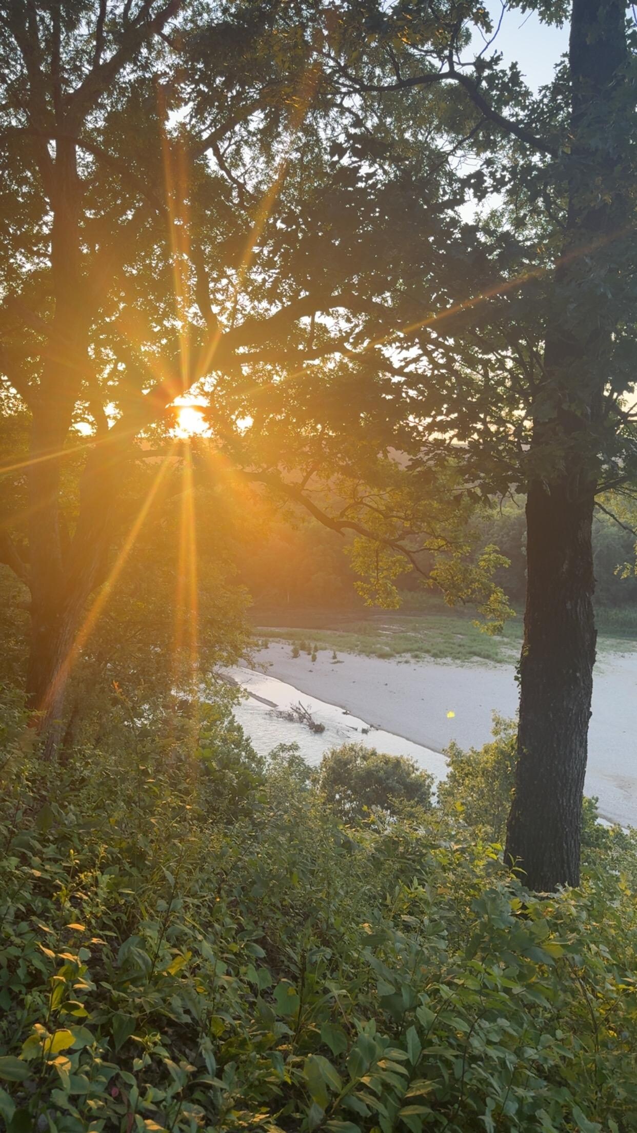 Our view from the patio overlooking the river
