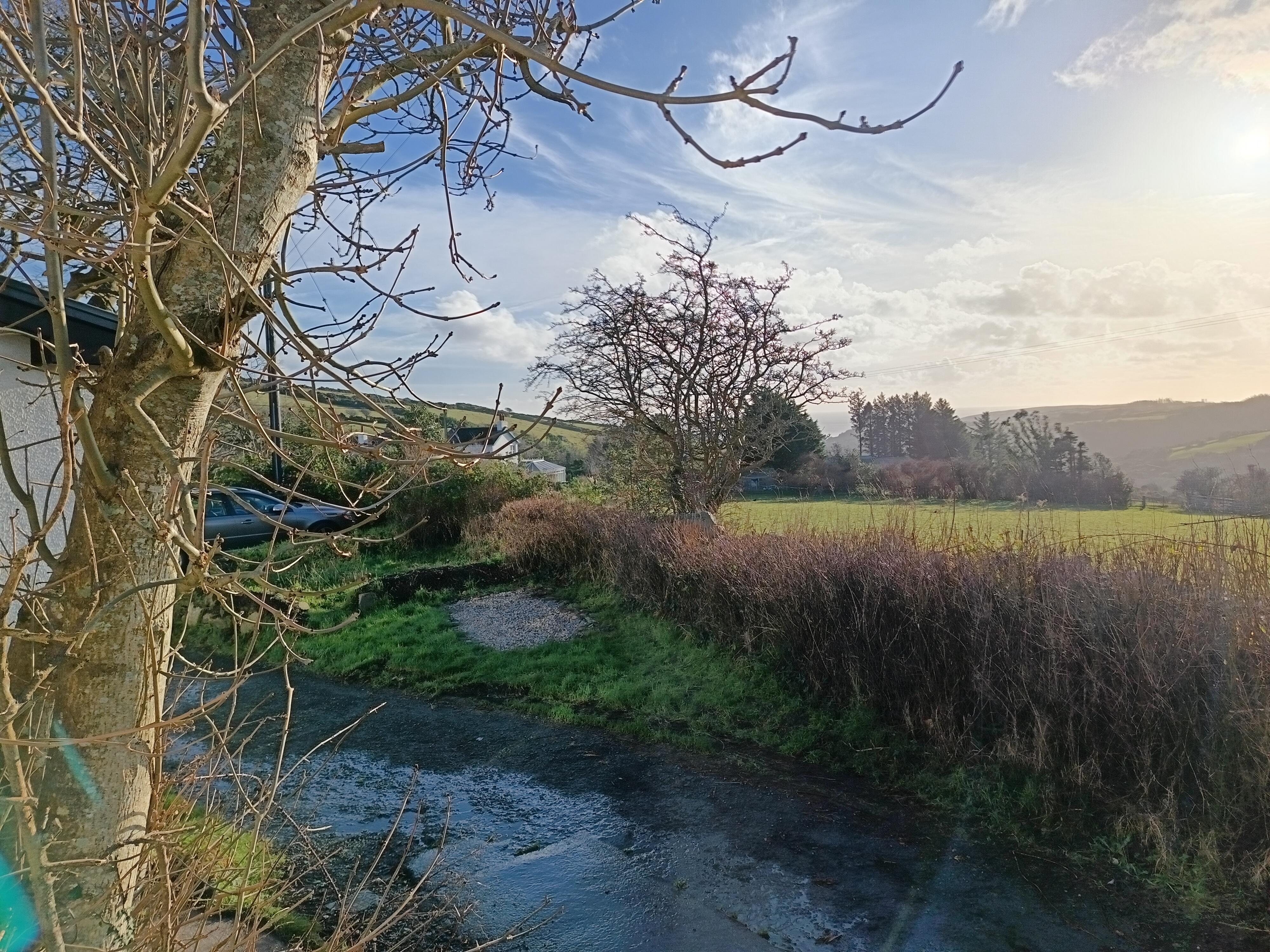 The view from our cottage 