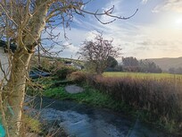 The view from our cottage