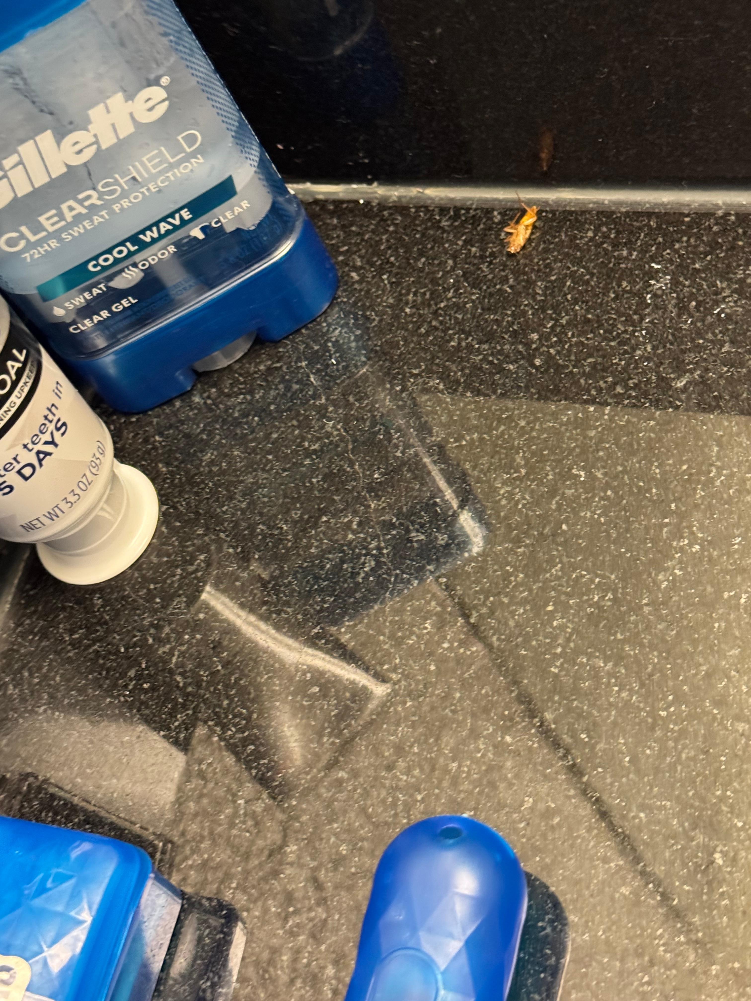 To many roaches couldn’t get a picture where there was like 5 together 