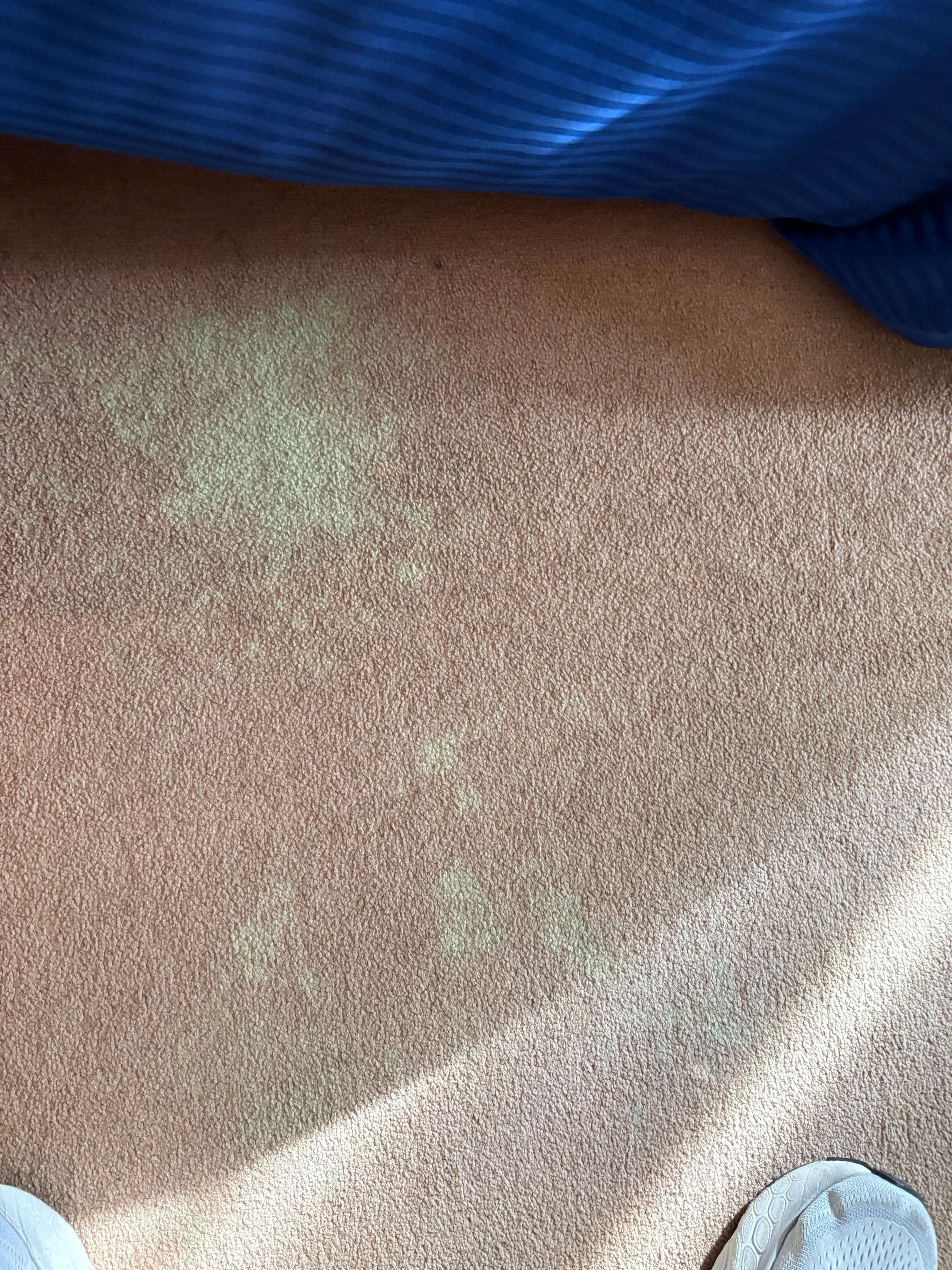 Carpet stain in room.