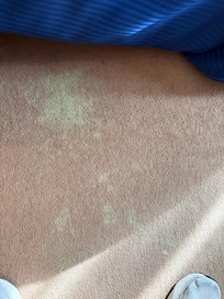 Carpet stain in room.