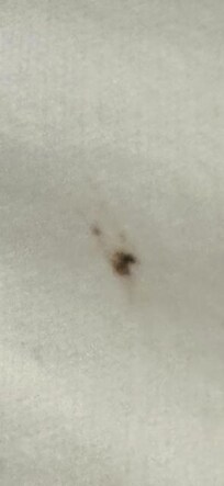 another inspect on sheet