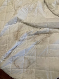 Comfy bedding 😂
No thank you