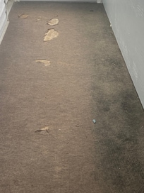 Disgusting floors