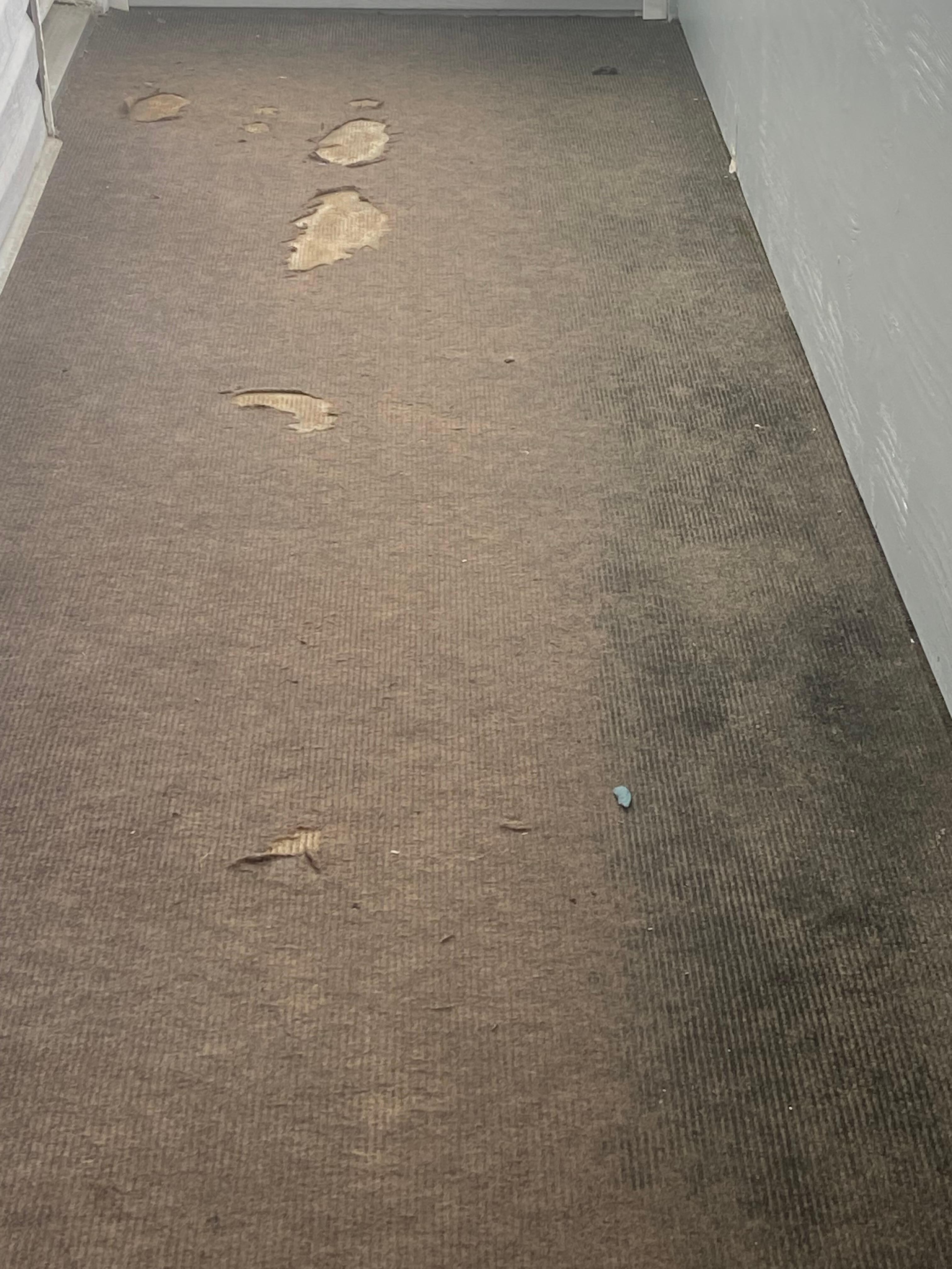 Disgusting floors